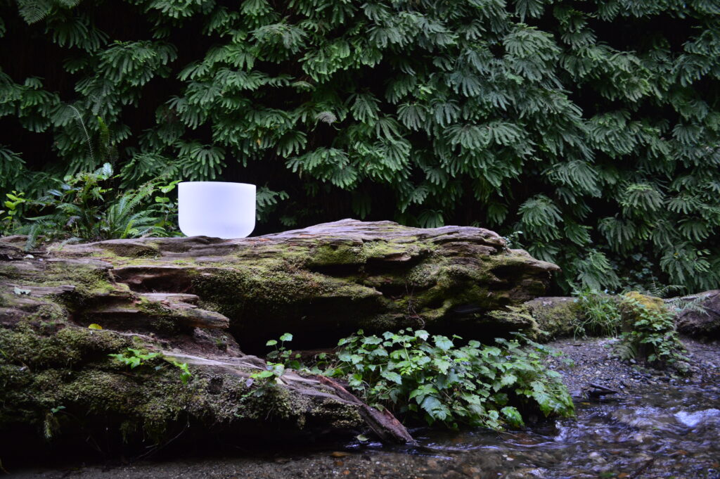 Crystal bowl in the forest